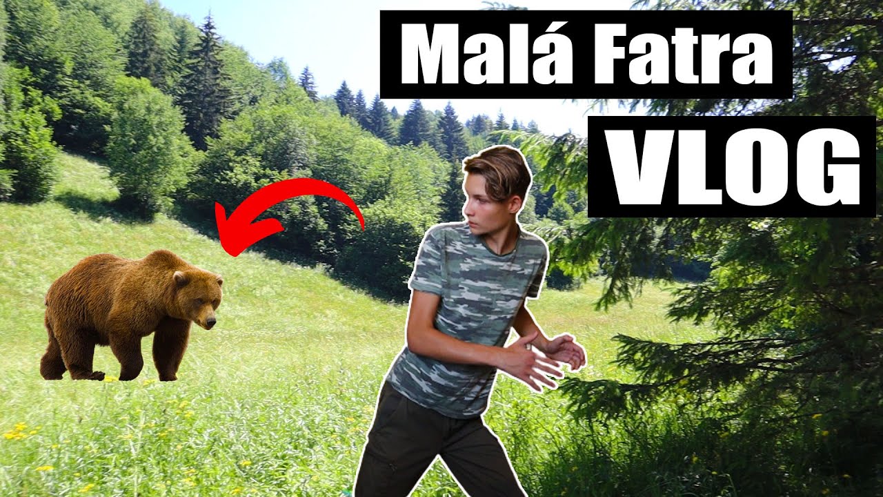 Potkali jsme medvěda na Malé Fatře? | VLOG