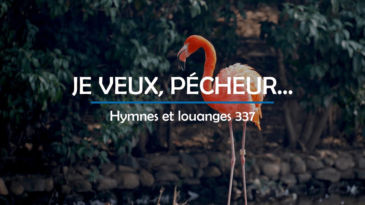 337 - Je veux, pécheur... (voix) | Hymnes et louanges | Audréanne Cloutier