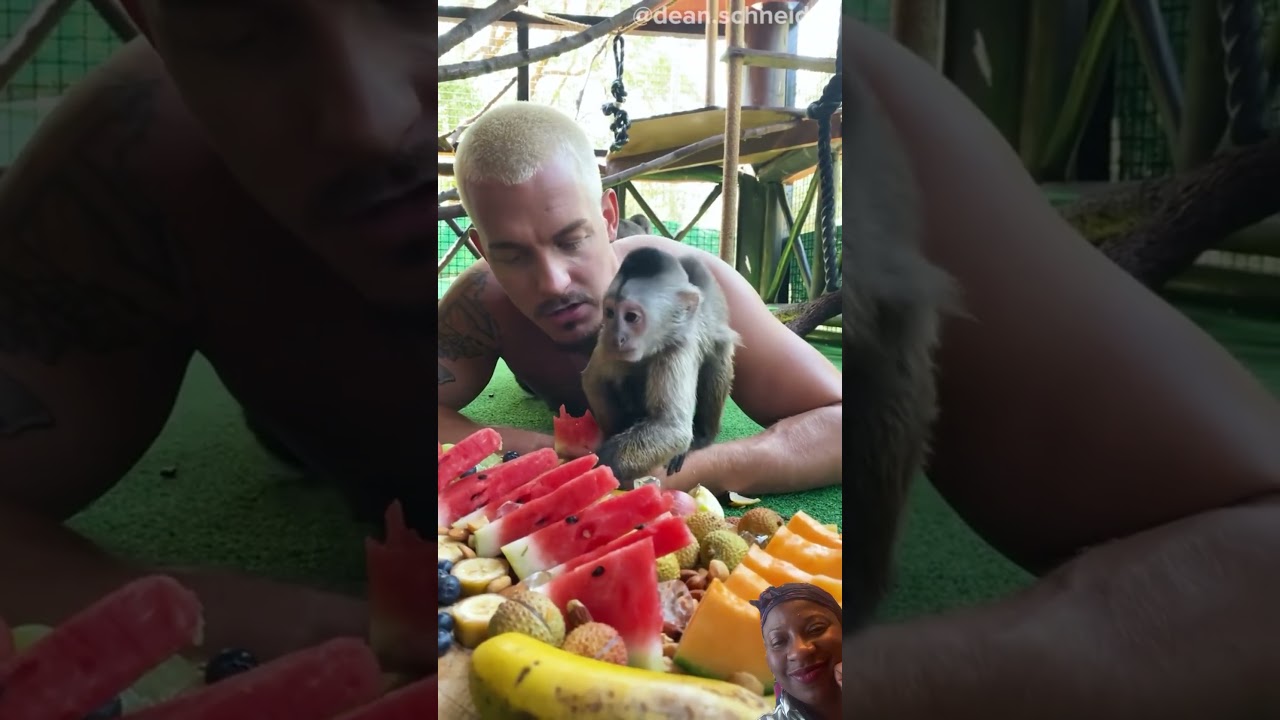 Monkey breakfast time, monkeys eating fruits with human, so cute 🥰 