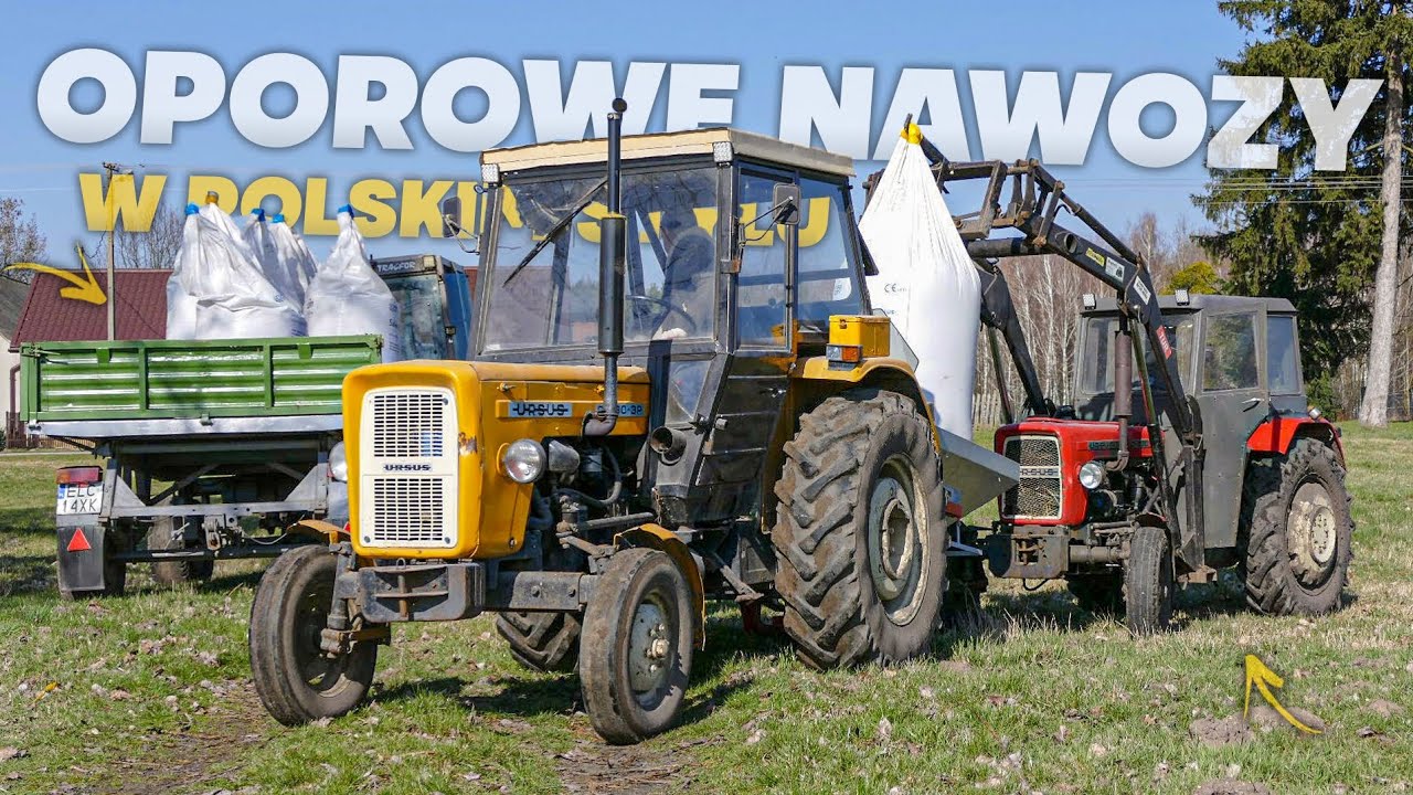 🔥🌱OPOROWE NAWOZY 2024 W POLSKIM STYLU?!🇵🇱🔥 3P i ABRA W ROLI GŁÓWNEJ!😍🔥CAŁE STADO NA JEDNYM POLU!🚜😱