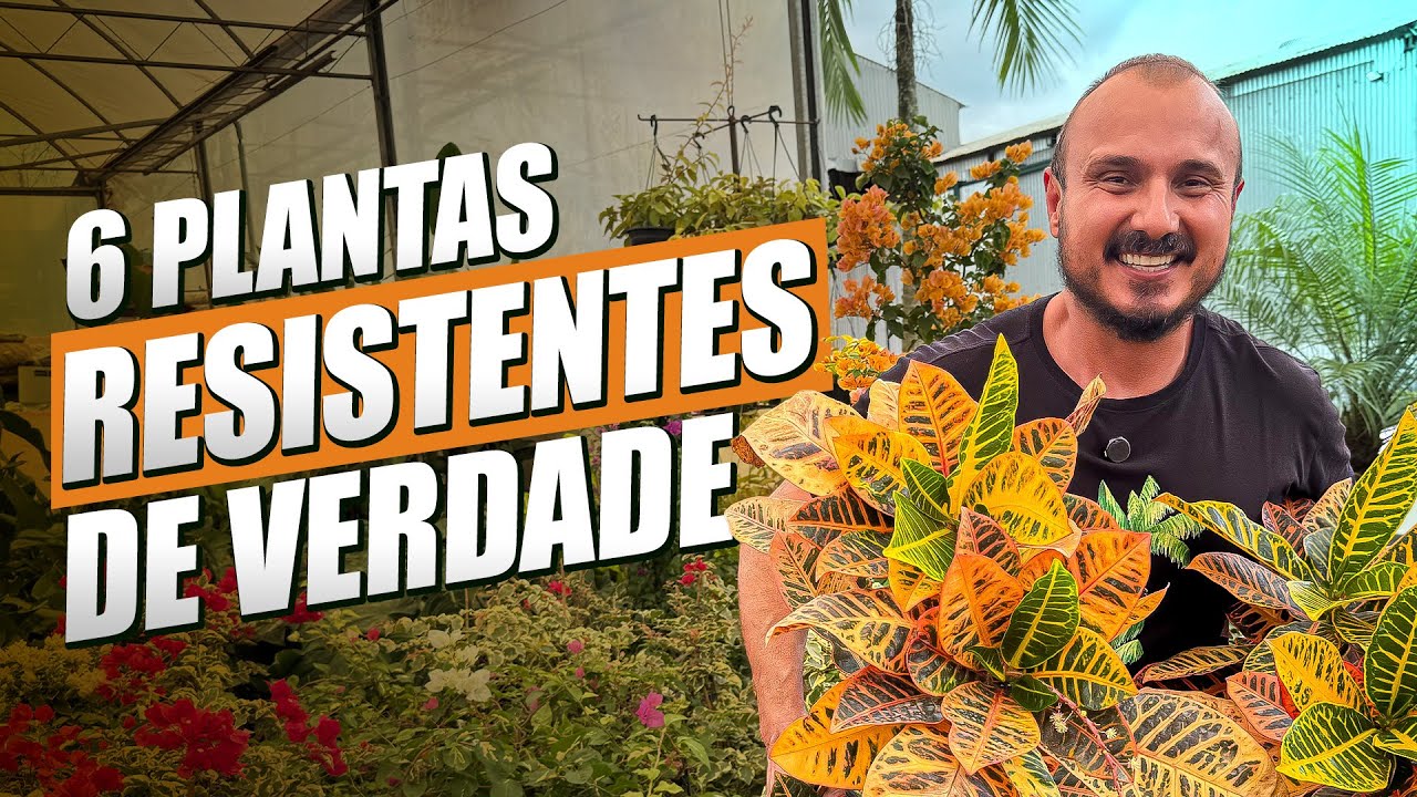 6 Plantas Resistentes pra Casa e Jardim (Fáceis de Cuidar)