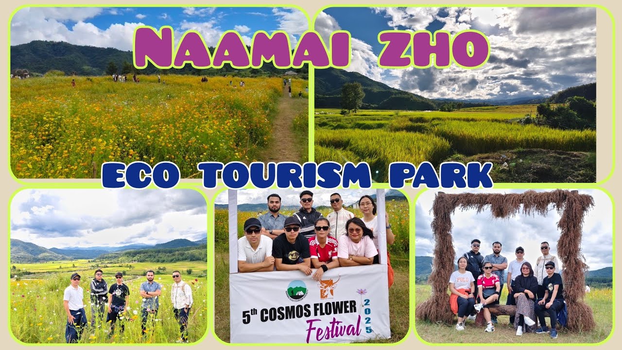 Exploring the Magical Fields of Naamai Zho | You Gotta See This! 😍 Breathtaking Cosmos Fields.