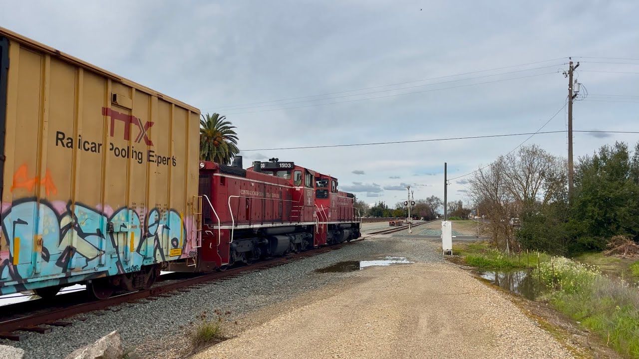 CCT No.1501 & No.1503 at Live Oak Road (February 20, 2026) 