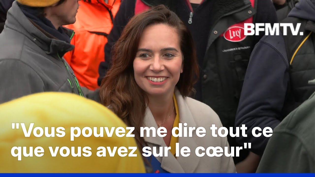 Paris 2026: pourquoi le site de Sarah Knafo, candidate "Reconquête !" fait l’objet d’un signalement?