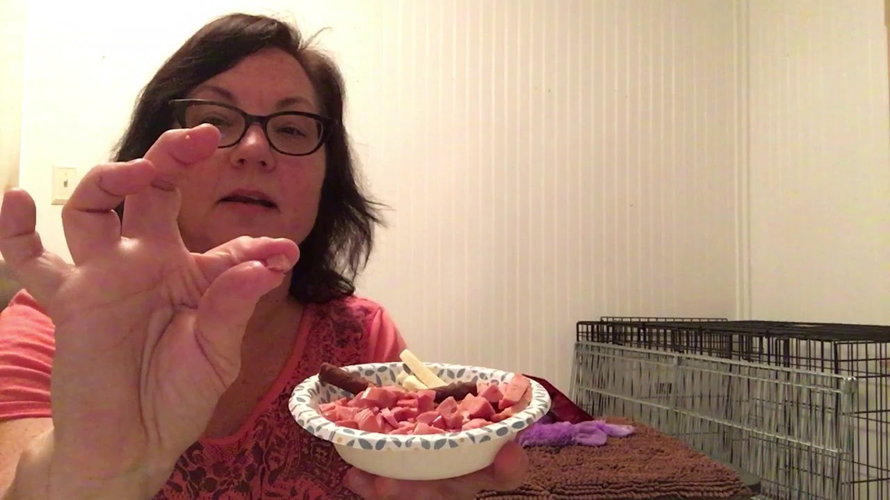 Lori Rizzo Whippet Puppy Training Wk 1 Lesson 2