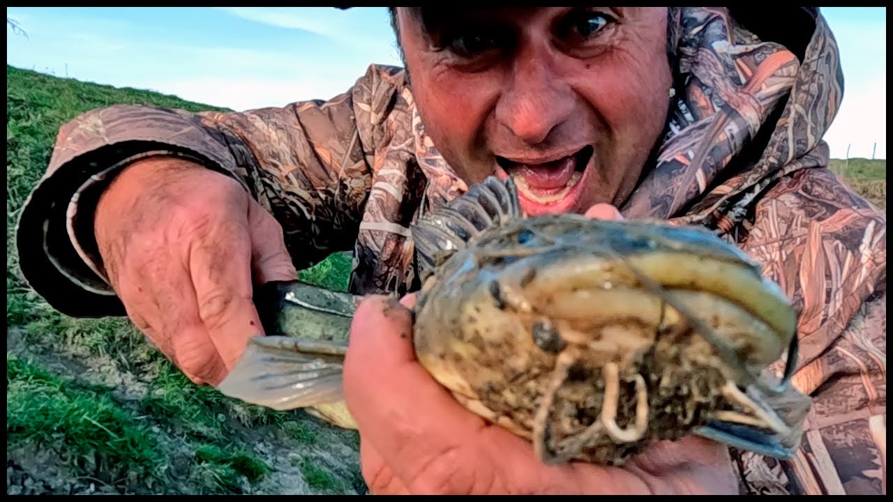 PESCA DE ARROYO - VOLVIO LA ALEGRIA CON BUENAS CAPTURAS