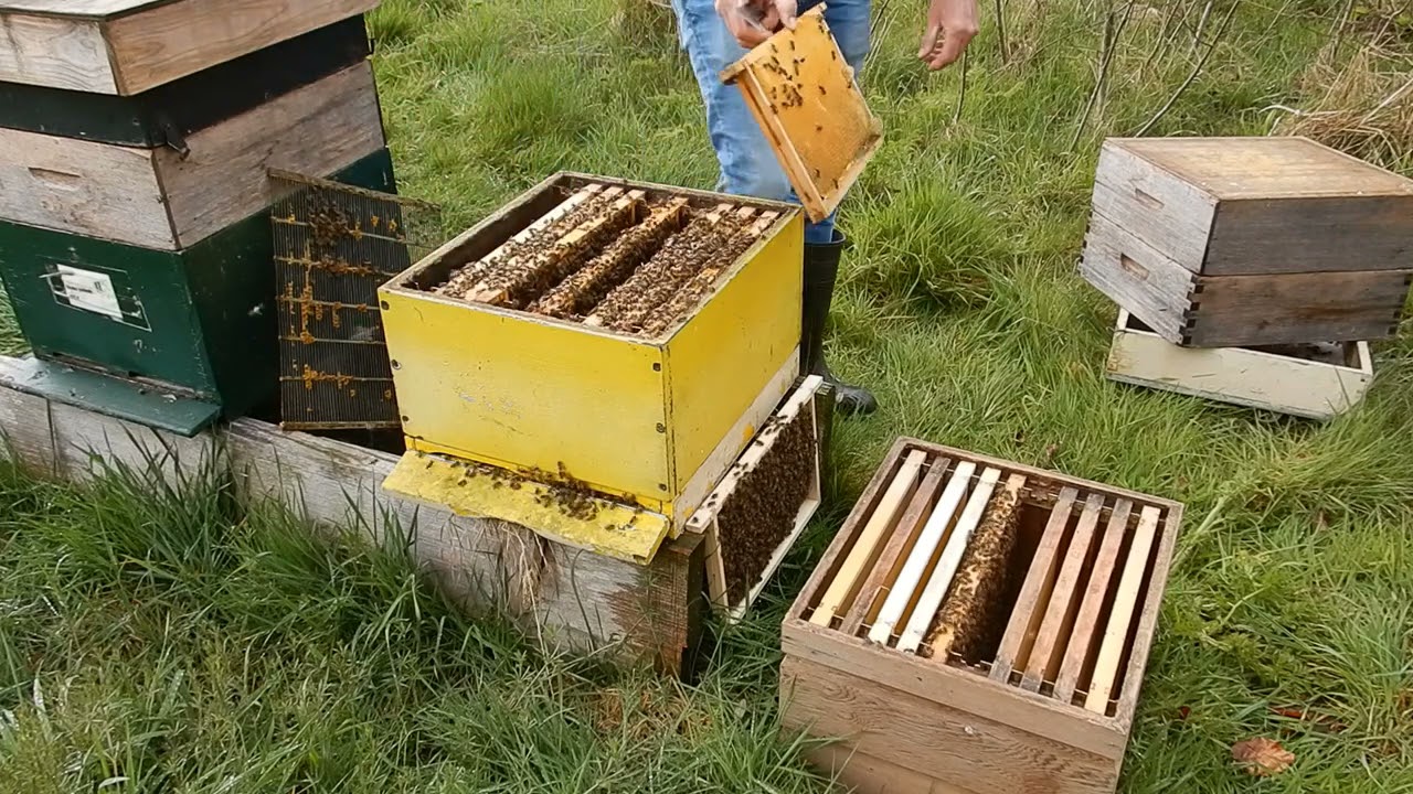 Een vlieger maken
