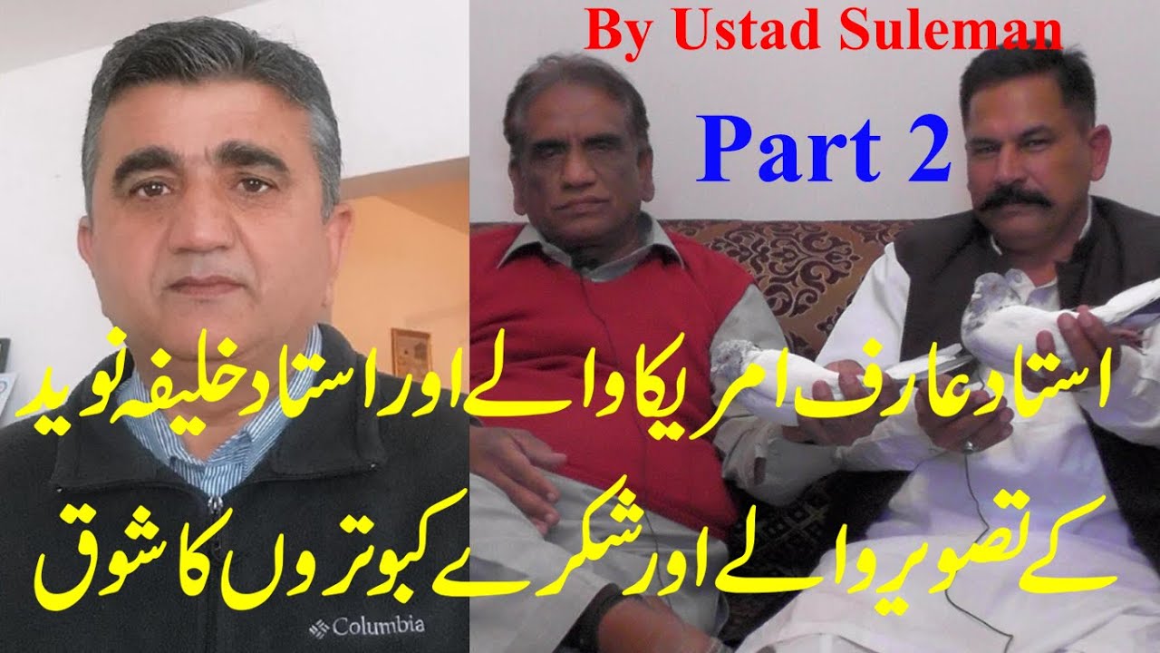 how || best interview || ustad khalifa naveed ka nag || sadhnh or badshah kabootro ka shoq ||