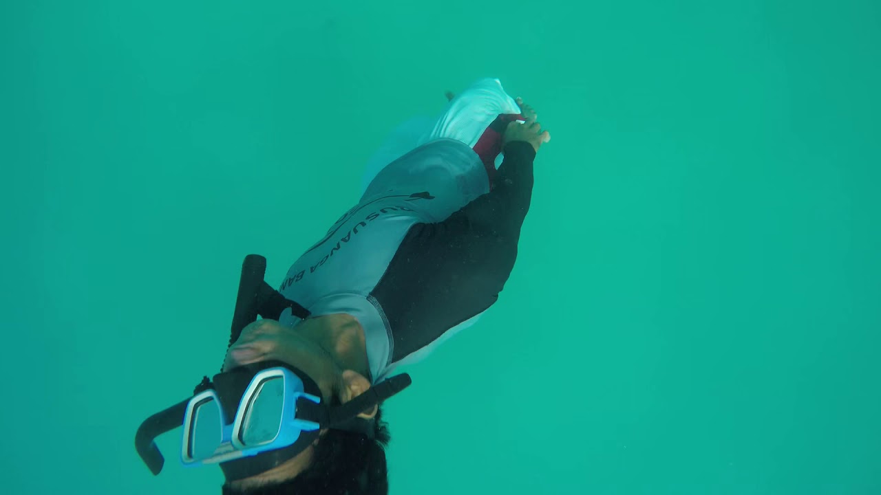 Dugong encounter in Coron