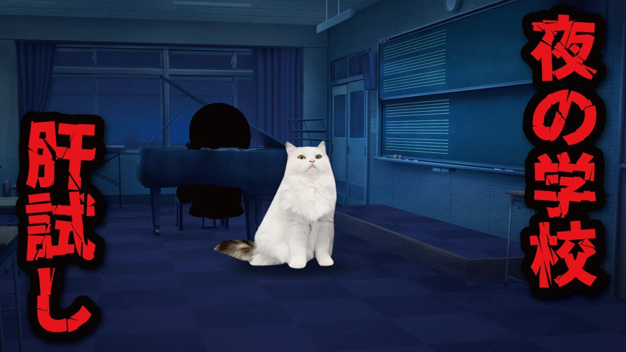 夜の学校に肝試し行ったら最後ものすごいの出てきた…！【漫才】【コント】 【猫アニメ】