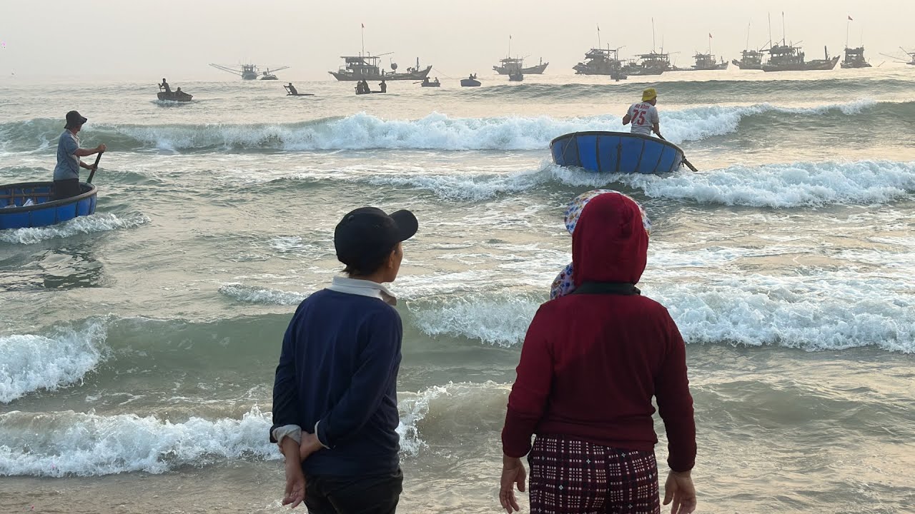 Sáng Sớm Nhộn Chợ Cá Bình Minh Quảng Nam - Dân Biển