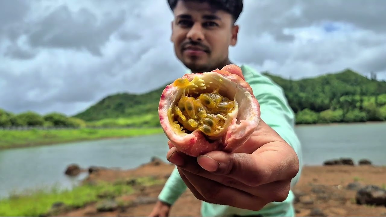 Passion ফল  আফ্রিকান জঙ্গল 🌳🍈 #African #Forest #Mauritius  ##Trending #Viral #FYP #ExplorePage 
