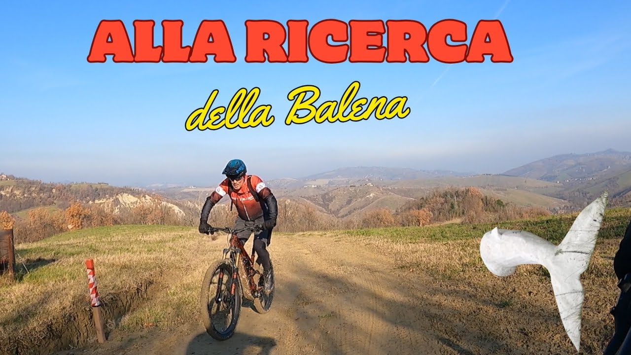 Alla scoperta della Balena