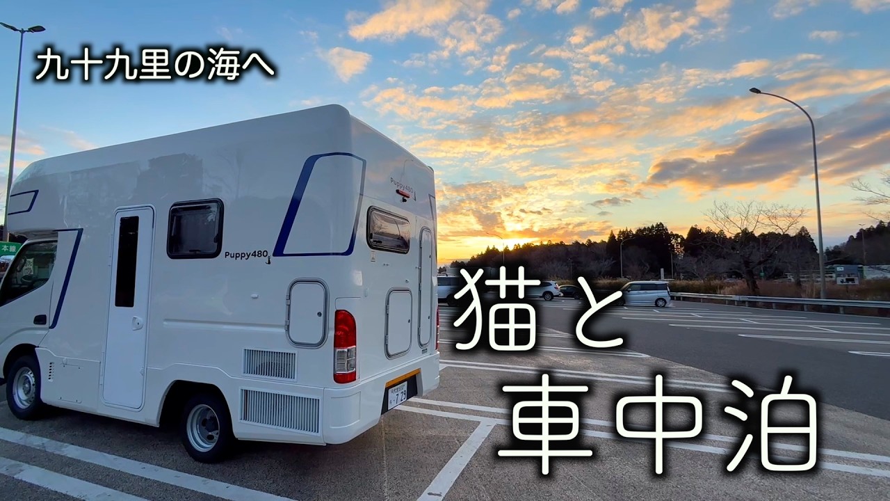 【車中泊】猫連れ九十九里旅！初めての海に予想外の反応⁈／魚料理が美味しい道の駅と海の駅