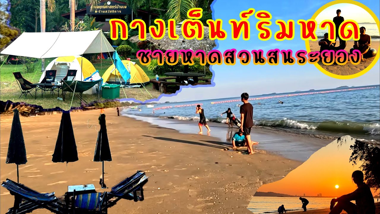 กางเต็นท์ริมหาดสวนสน สวนพฤกษศาตร์บ้านเพ จ.ระยอง เล่นน้ำที่หาดสวนสน ตลาดนวลทิพย์เมืองระยอง หาดสวนสน