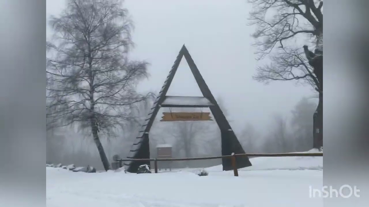 My day z Hobby horse 🌸😊 teren😱