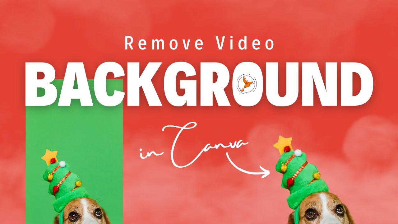 How to remove Video background for free in Canva? Saqib Iqbal Digital