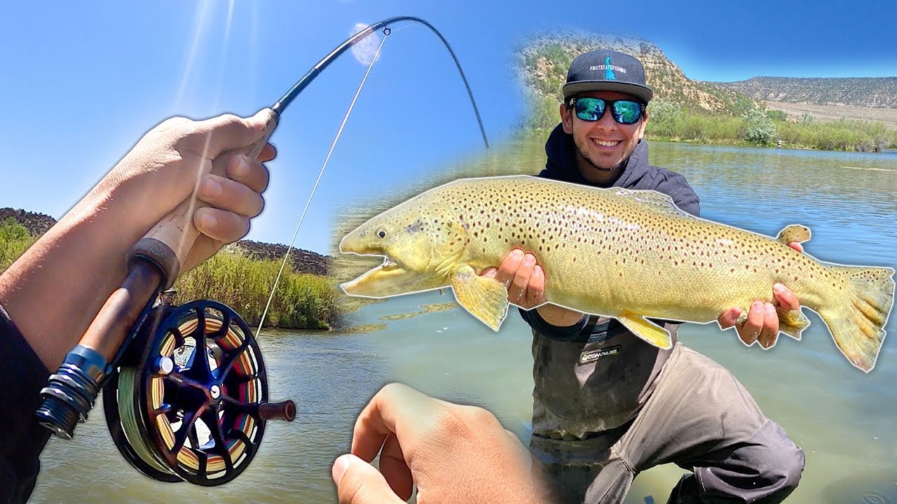 Trout Fishing PARADISE!! Fishing the Legendary San Juan River! (TROPHY)