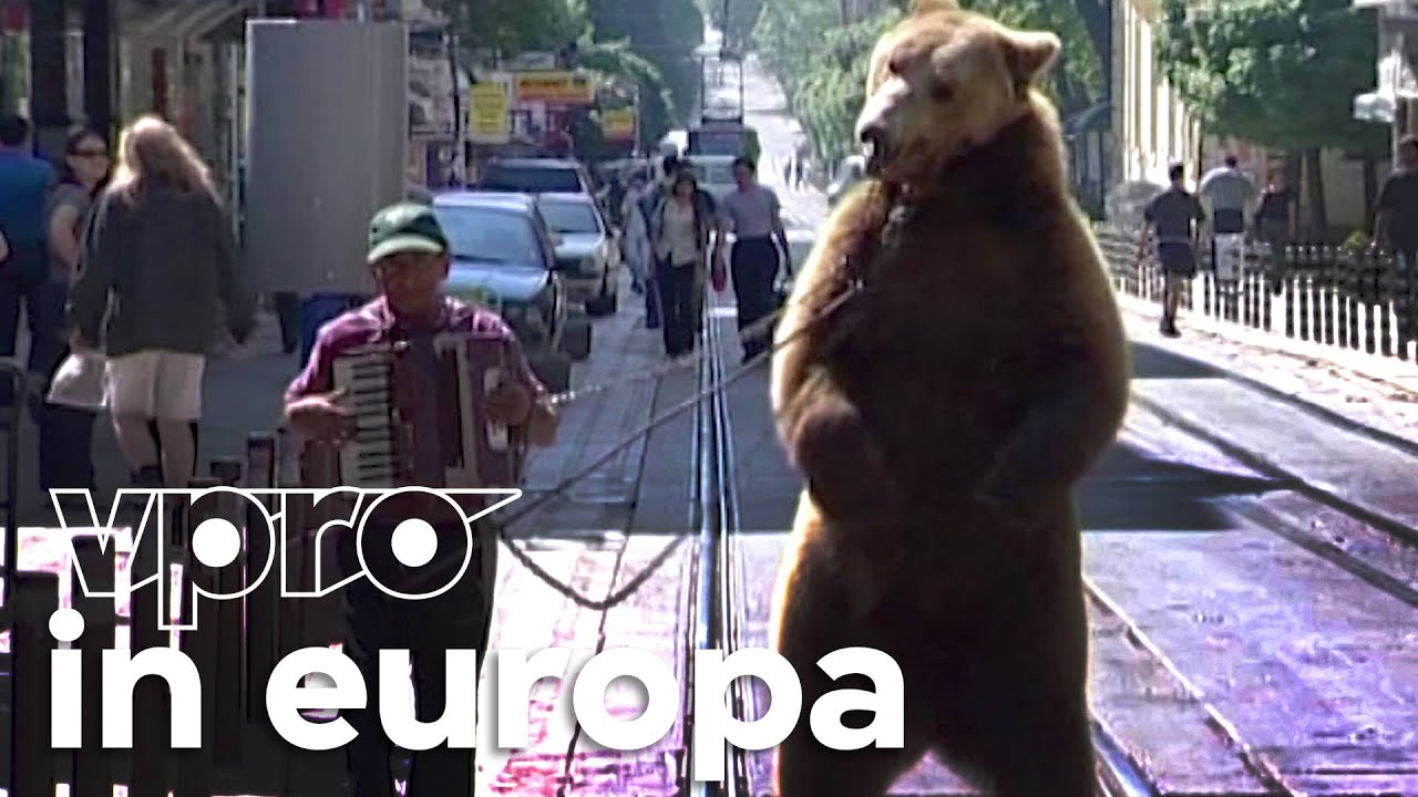 2004 | De berentemmer | Bulgarije | In Europa