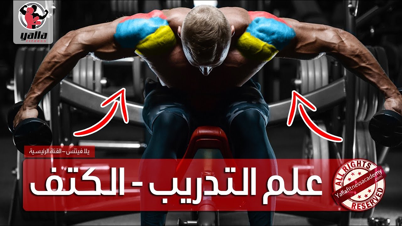 أسرار علم التدريب | الكتف (ما لا يخبرك به المدربون)