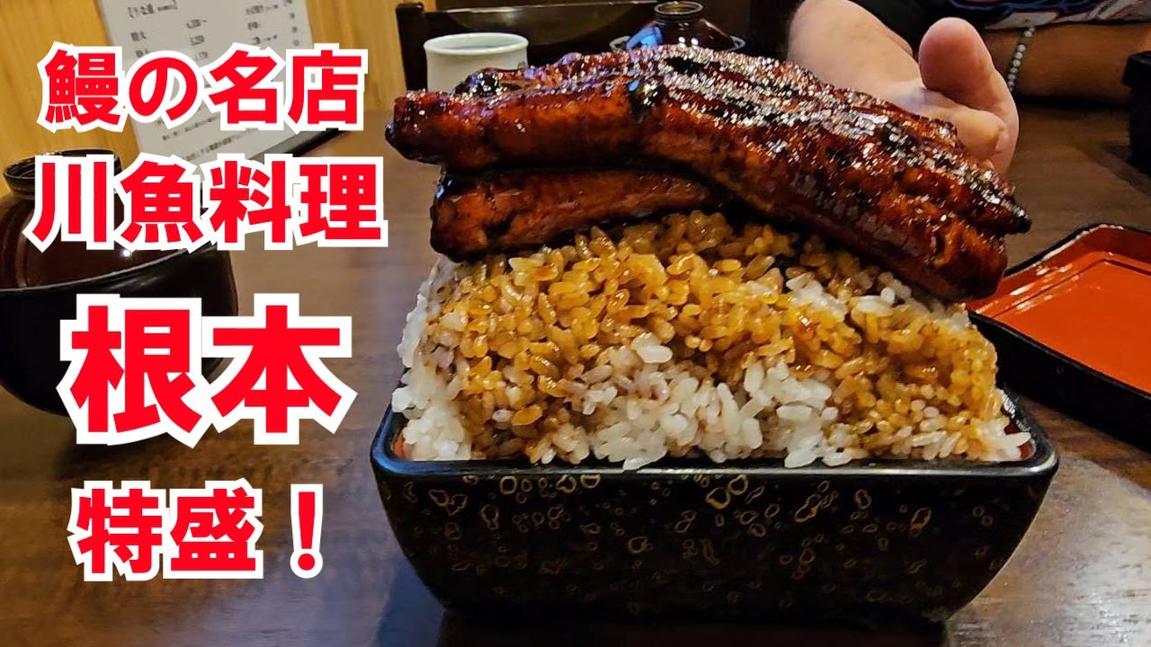 43年も通ってる、関東で３本の指に入るうなぎ屋！　根本　　川魚料理
