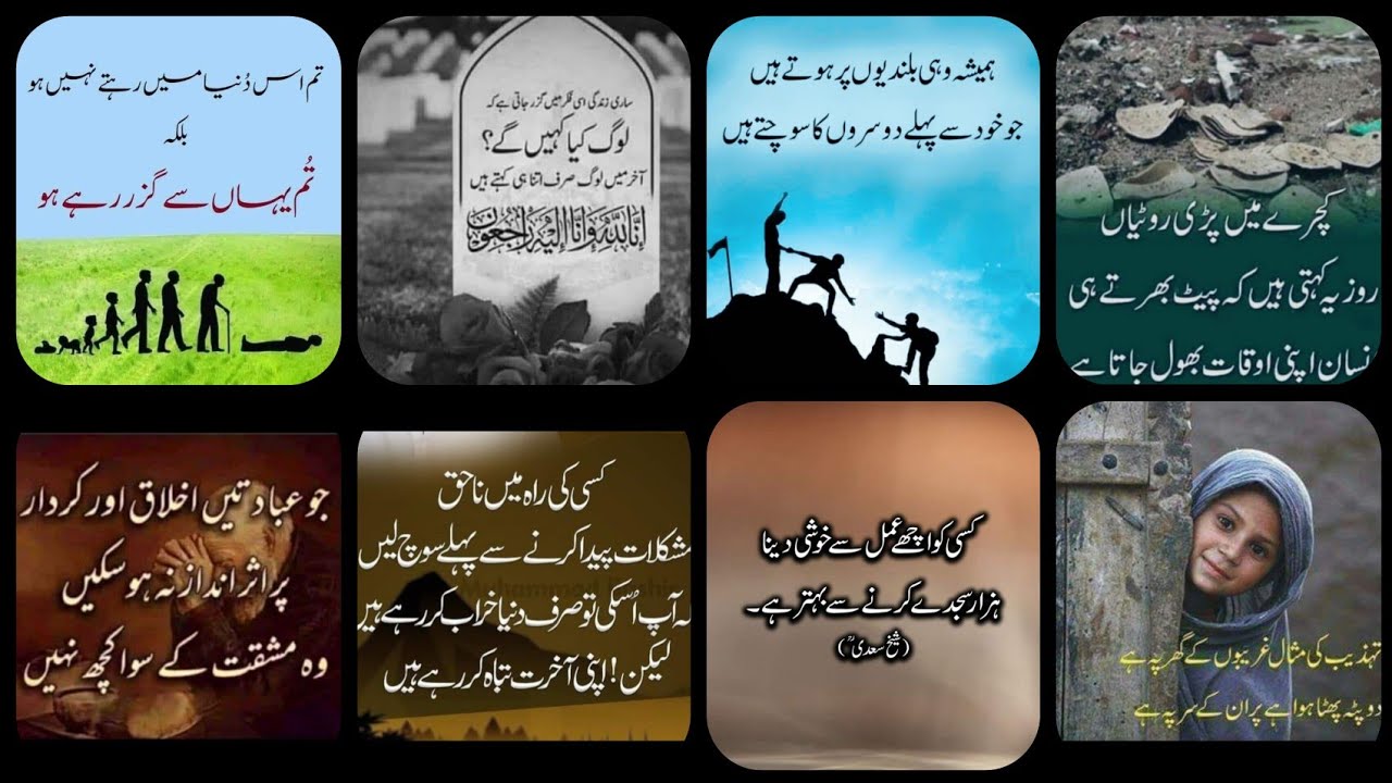😭💯✨Aqwal e zareen |new Aqwal e zareen in Urdu|Urdu quotes|best urdu quotes mix l Urdu Islamic quotes