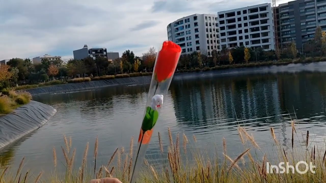 🚨🚨فضيحة الميكروب وندوش 😱 عتقو سبب  مرض شنتوكة وفيديو البيتوتي 