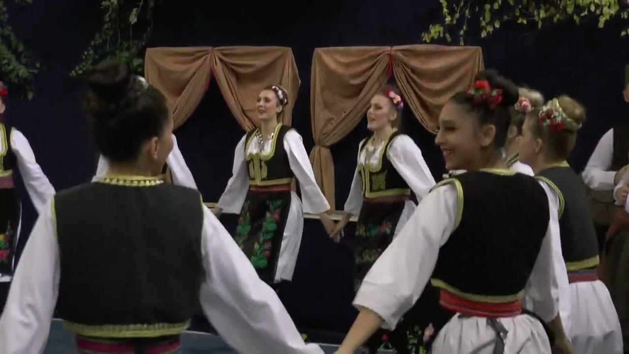 FA ''Laza Kostic'', koncert, novembar 2021.