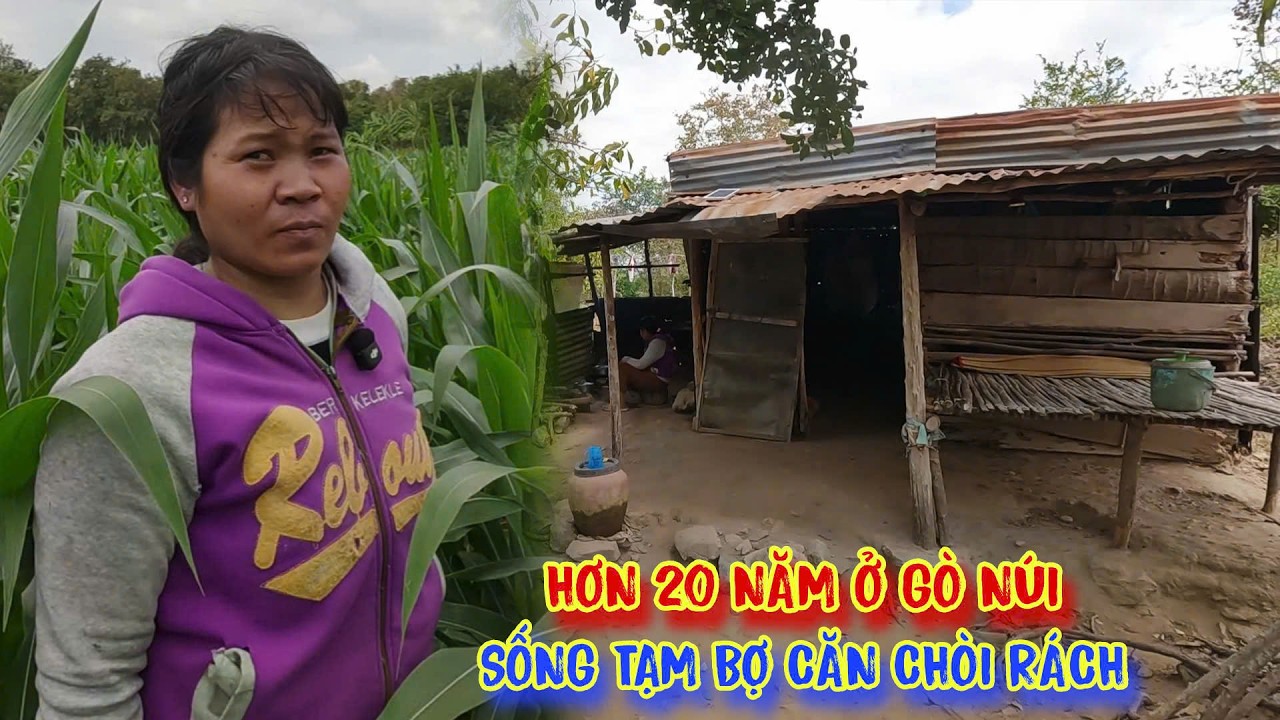 CÔ GÁI nghèo, ở nơi hẻo lánh, sống TẠM BỢ trong căn chòi MỤC NÁT - tập 1679