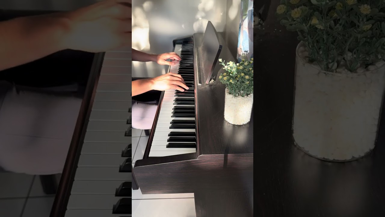 Waltz in B minor, Op. 69 No. 2 – Frédéric Chopin