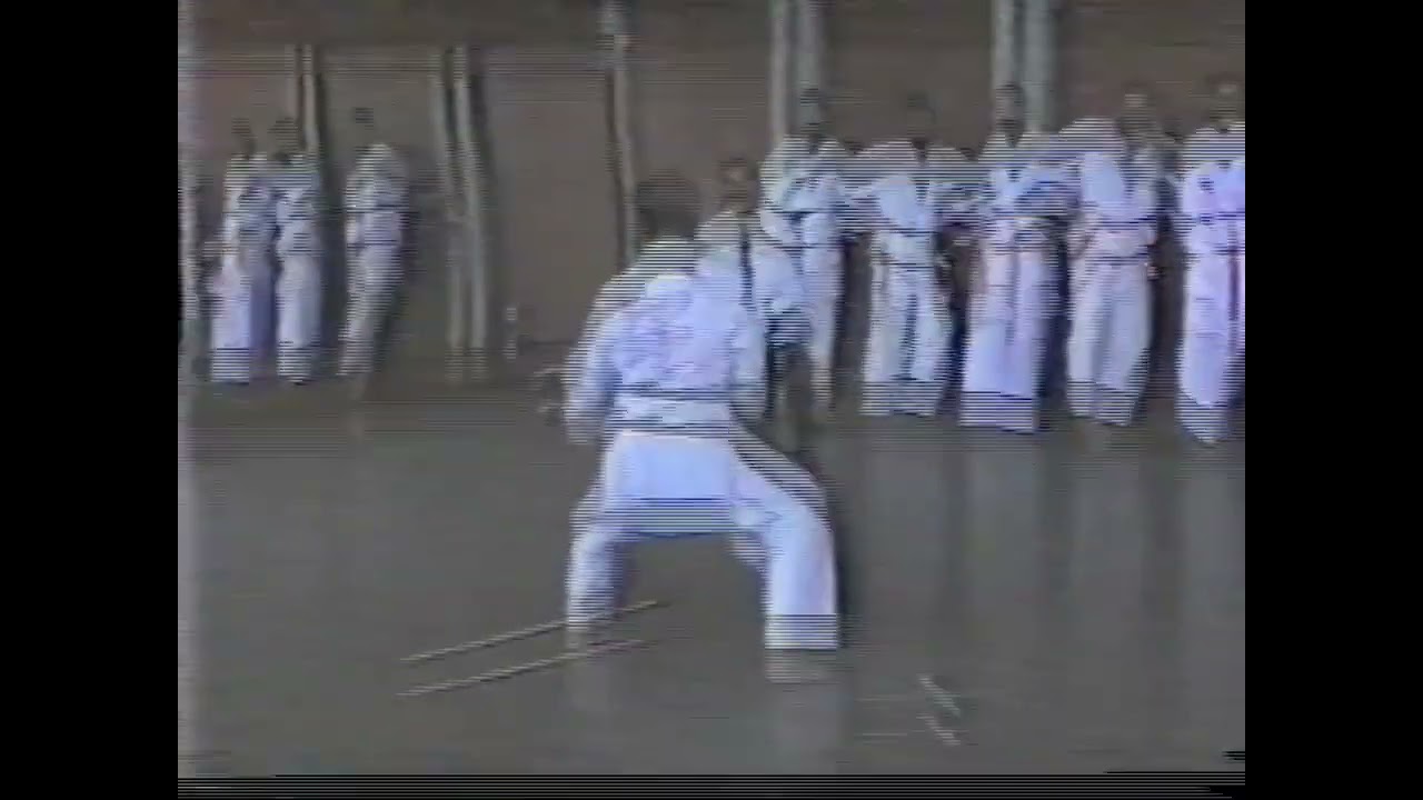 GOJUSHIHO SHO Estadual FEK 1996 UFES