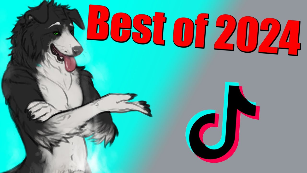 Furry Tiktoks that'll recap 2024