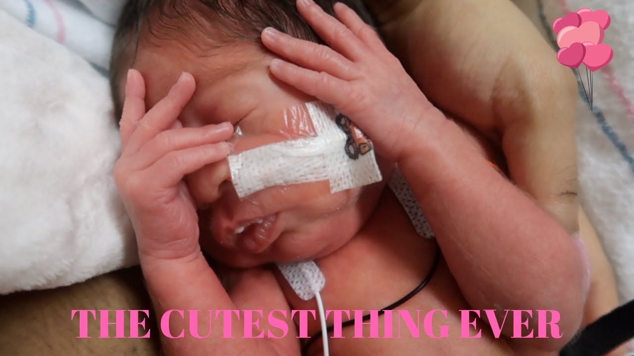 JOURNIE TOLD YOU GUYS GOODBYE !!! CUTEST MOMENT EVER !