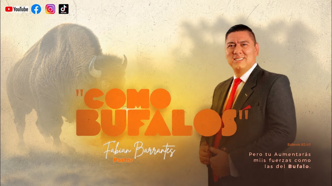 COMO BÚFALOS ( la fuerza que da el Espíritu)