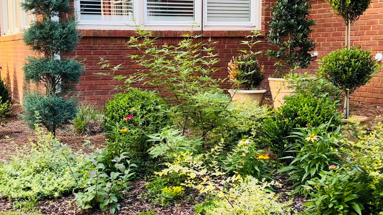 COTTAGE GARDEN AND NURSERY UPDATES! // MY SOUTHERN GARDEN