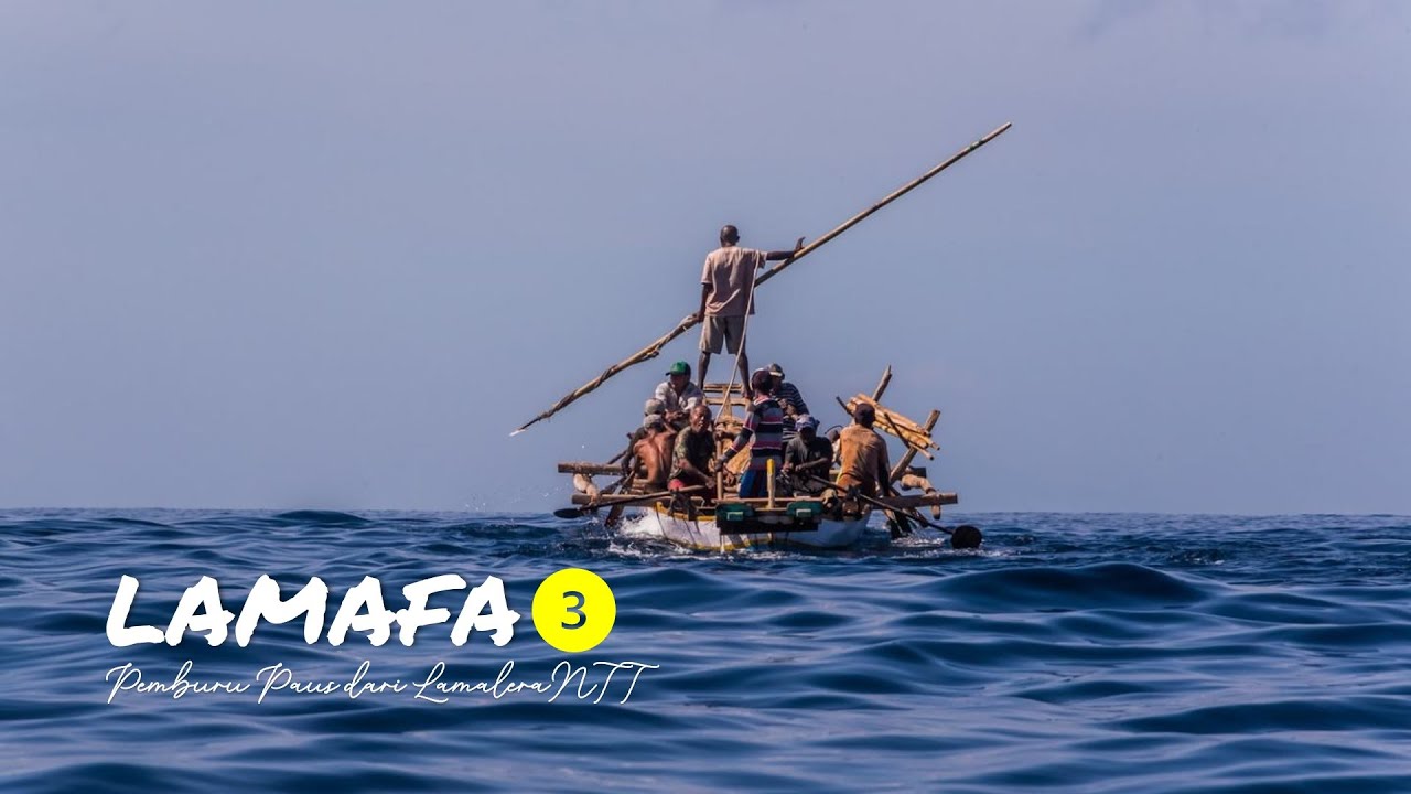 PEMBURU PAUS TRADISIONAL DARI LAMALERA, NTT - LAMAFA 3