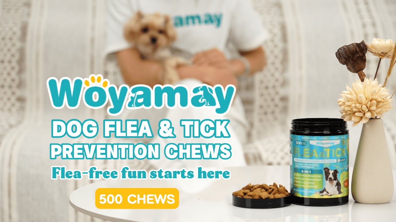 Woyamay: Dog Flea Crunchy Treats That Actually Taste Good!