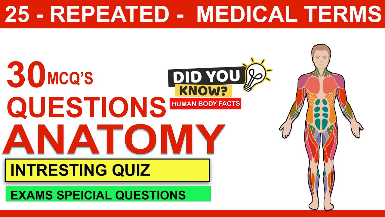 anatomy mcqs | human anatomy mcqs question and answers