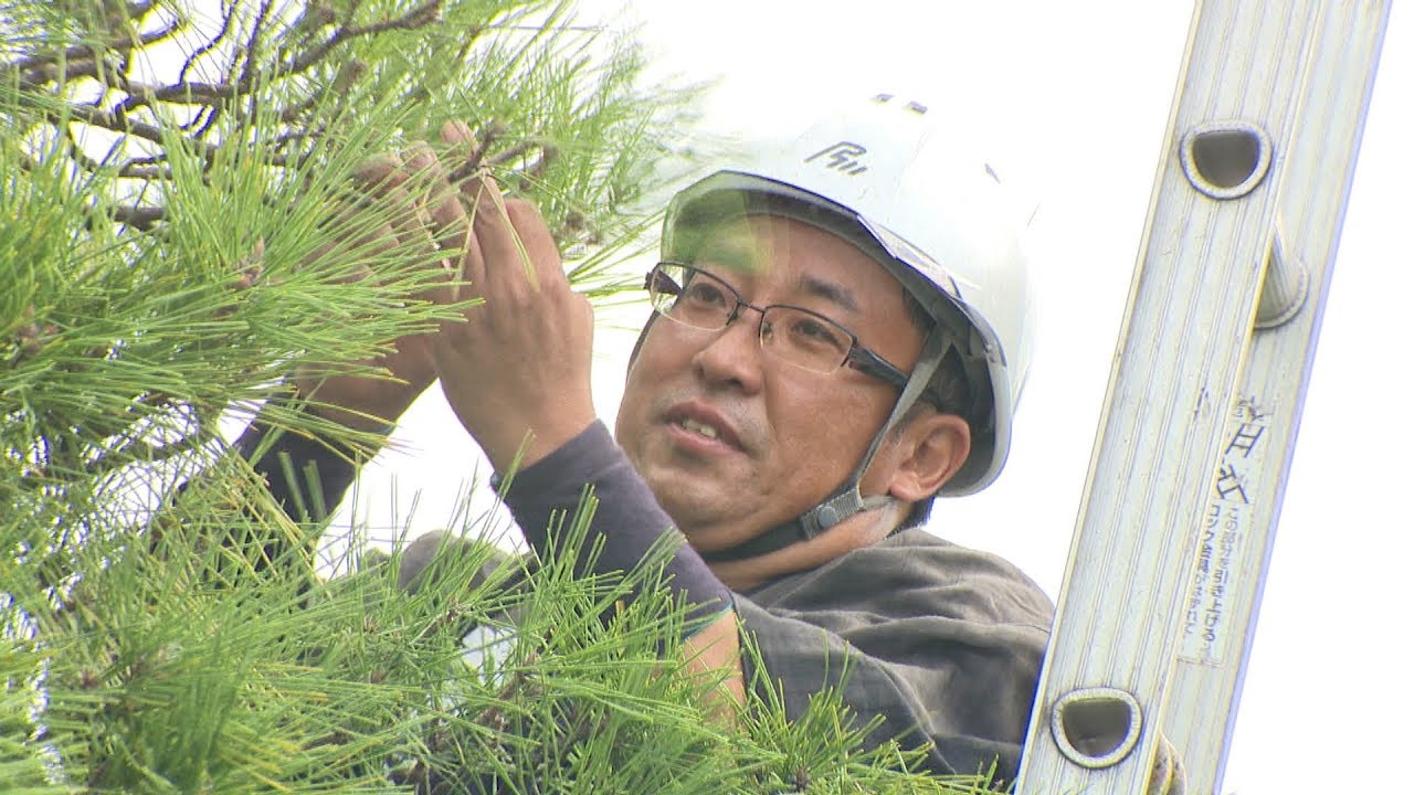 【守る】「兼六園の庭師」（2018年9月13日放送）