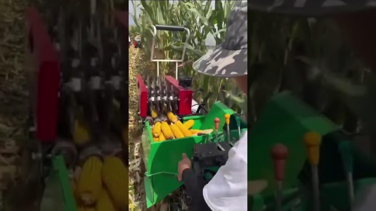 🌽 Amazing Automatic Mini Corn Machine | Smart Farming Innovation 2025 🚜