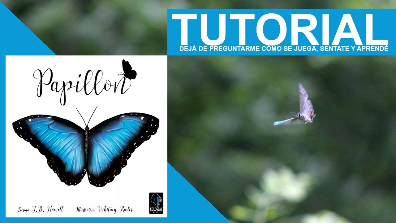 CÓMO JUGAR: PAPILLON