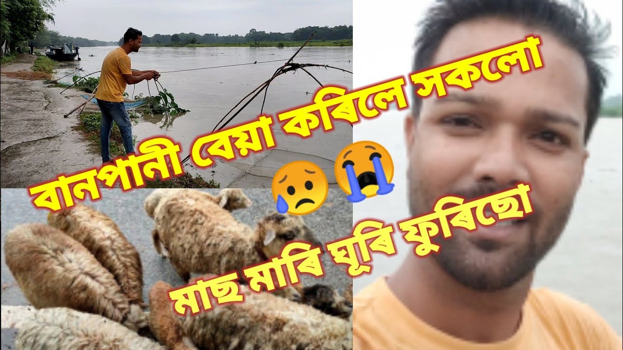 অসমত বানপানী || jituz world || assamese vlog || pagladia river vlog || nalbari vlog