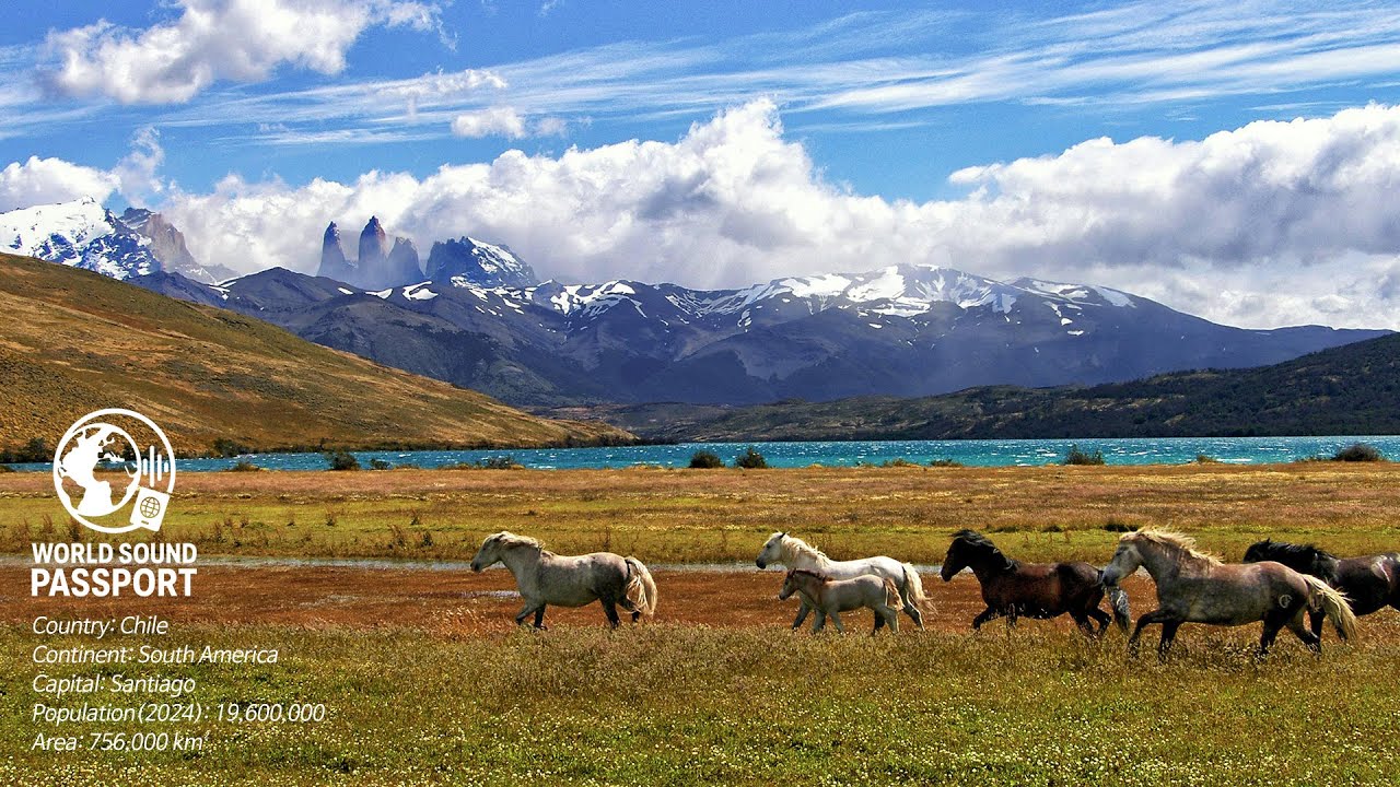 ℙ𝕃𝔸𝕐𝕃𝕀𝕊𝕋_ᴄʜɪʟᴇㅣ1 Hour of Chile&rsquo;s Folk Breezeㅣ1 Hora de la Brisa Folcl&oacute;rica de Chile