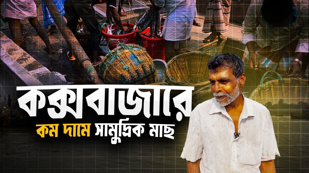সামুদ্রিক মাছ কিনুন কম দাম এ | কক্সবাজার ফিসারি ঘাট | Cox's bazar fish market