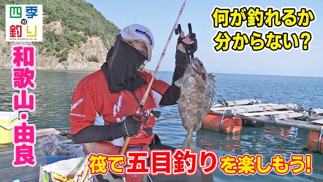 何が釣れるか分からない？筏で五目釣りを楽しもう！（四季の釣り/2022年8月19日放送）