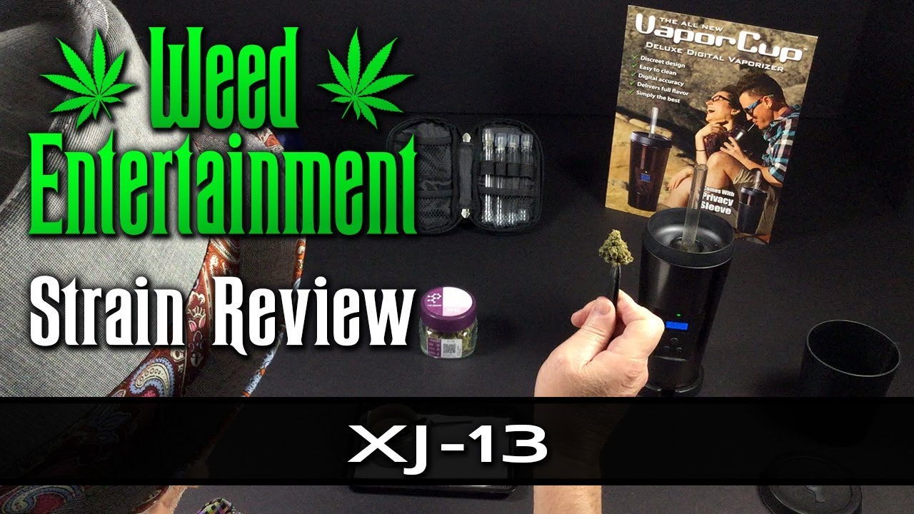 XJ-13 - Sativa - by THC Design - Strain Review - from WHTC, Studio City, Ca