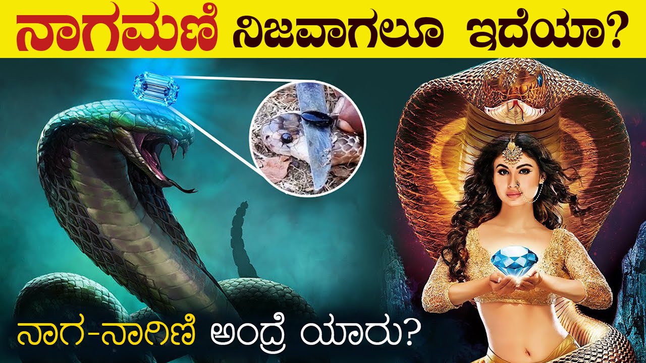 ನಾಗರಹಾವಿನಲ್ಲಿ ನಾಗಮಣಿ ಇರುತ್ತಾ? | Truth Behind Nagamani in Kannada | Vismaya Vani