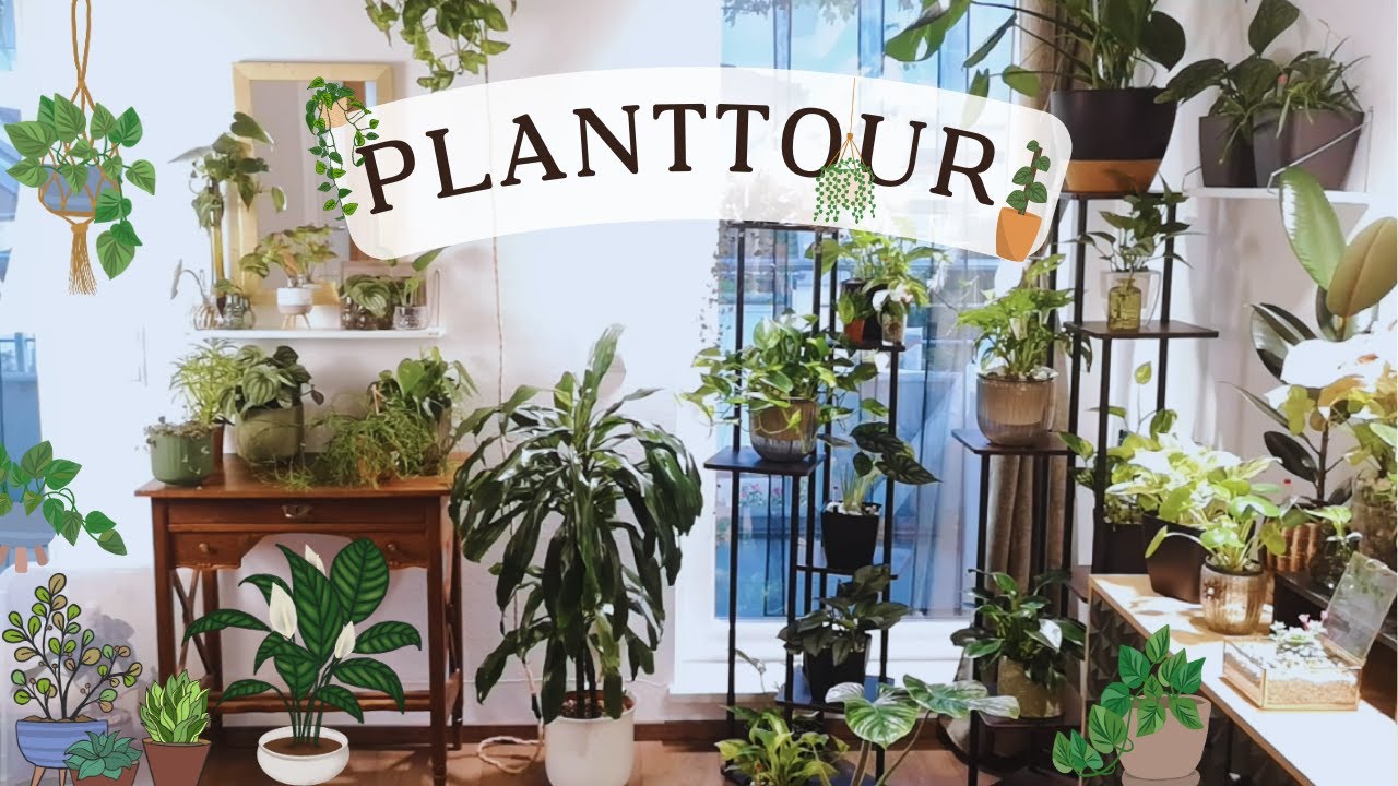 Anfänger Planttour - Entspannter Rundgang durch meine kleine Oase
