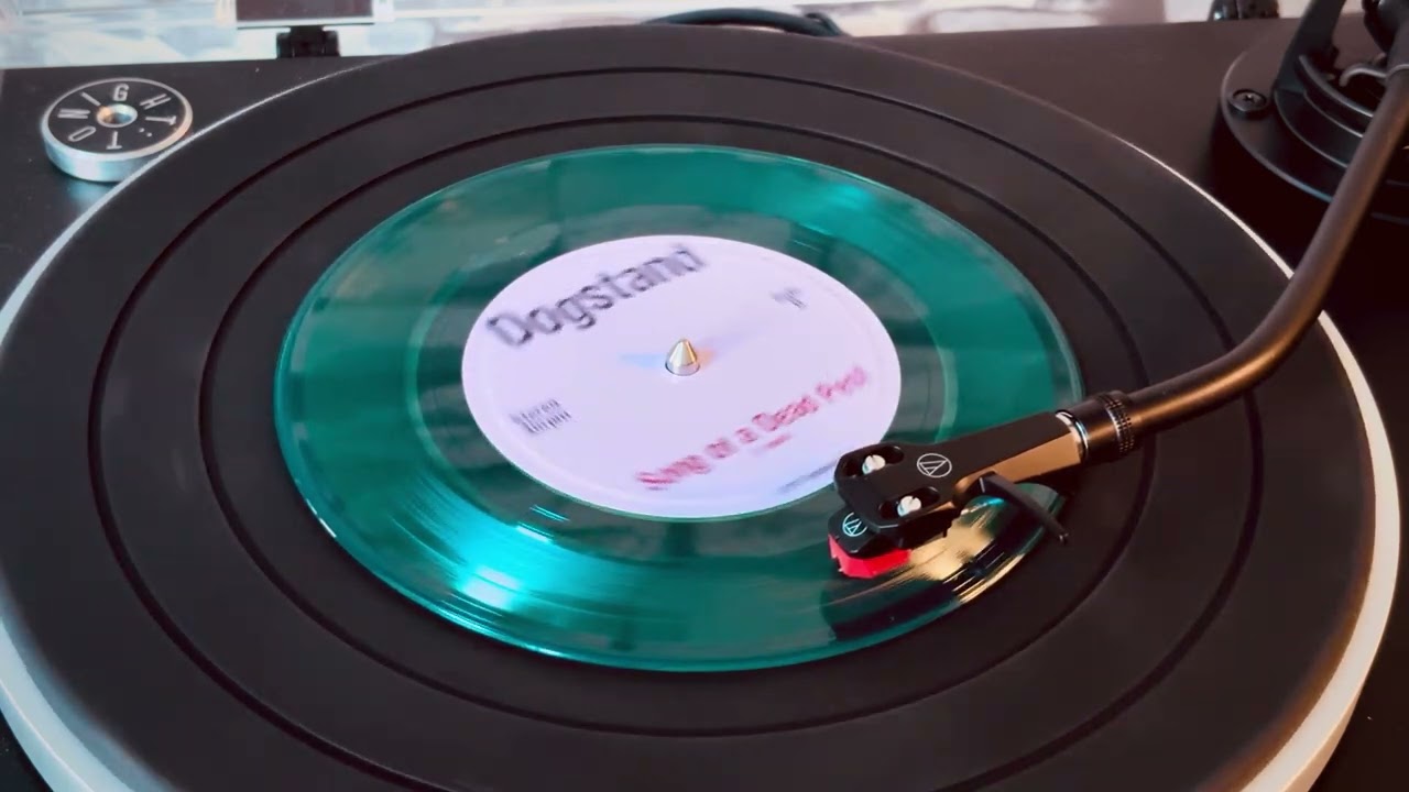 DOGSTAND | Song of a Dead Pest (Cardiacs cover) | Vinyl audio