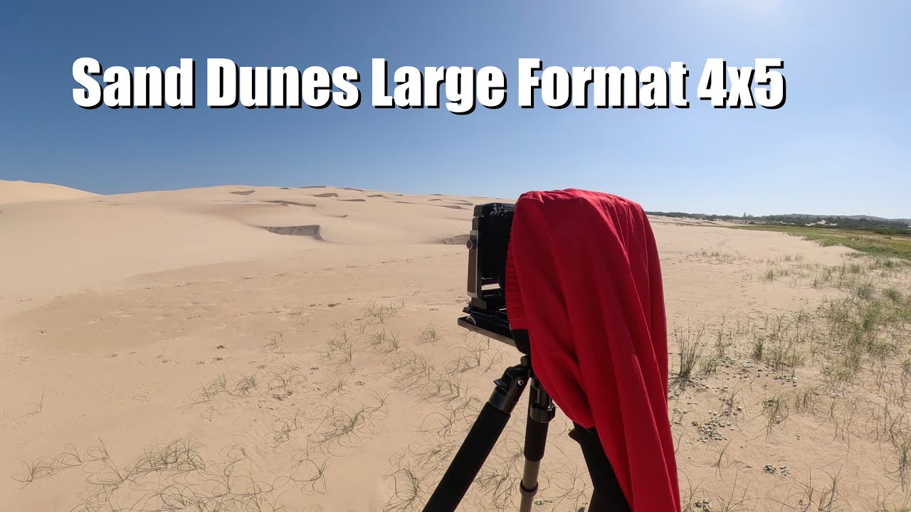 Sand Dunes, Anna Bay NSW: Large Format 4x5 Black & White Landscape Photography